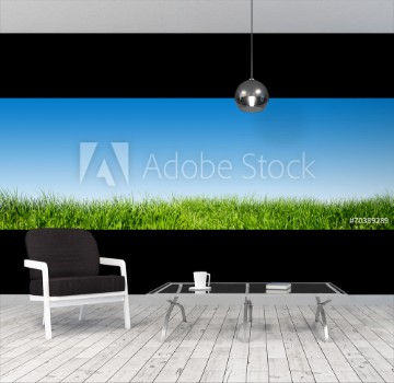 Picture of Green grass on blue clear sky spring nature theme Panorama